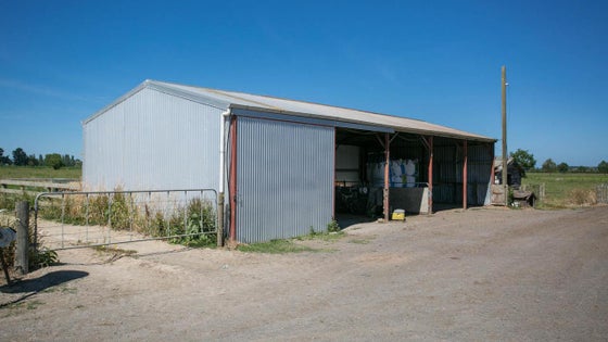 813811_2.jpg
