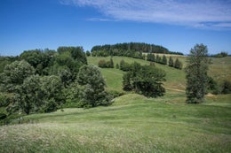 813900_1.jpg