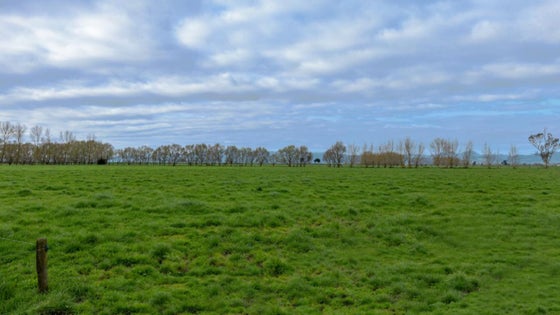 814916_2.jpg