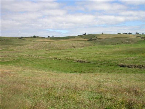 85291_3.jpg