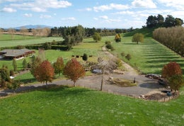 85425_1.jpg