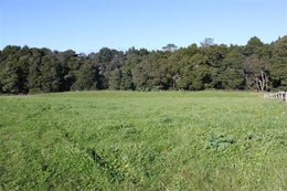 85543_1.jpg