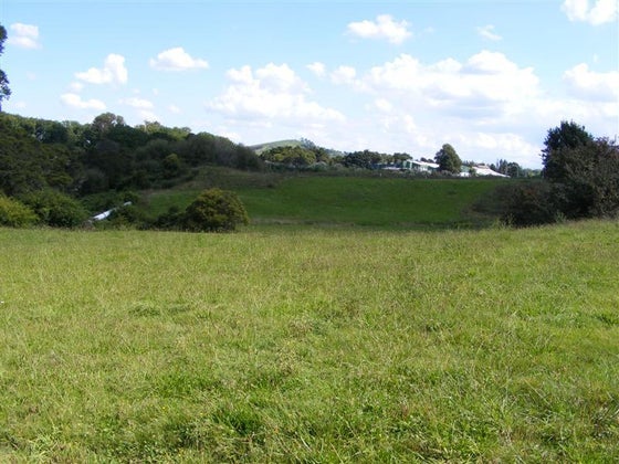 85543_3.jpg
