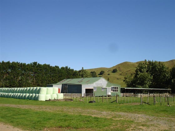 85707_2.jpg