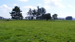 85830_1.jpg