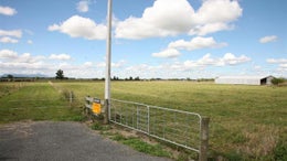 86145_1.jpg