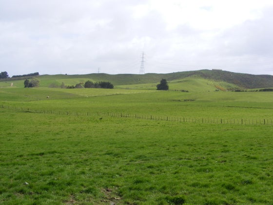 86183_2.jpg