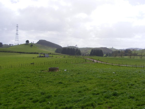 86183_3.jpg