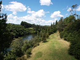 86206_1.jpg