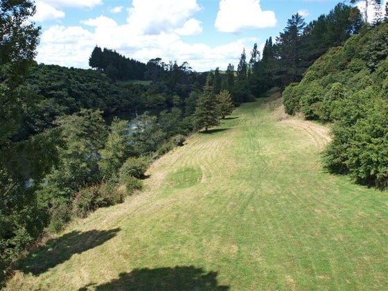 86206_2.jpg