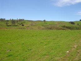 86302_1.jpg