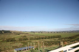 86319_1.jpg