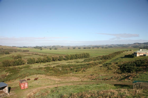 86319_2.jpg
