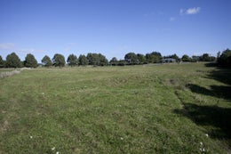 86349_1.jpg
