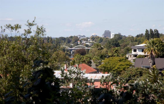 86549_3.jpg