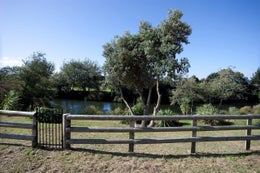 86912_1.jpg