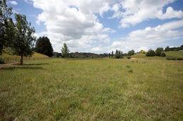 87142_1.jpg