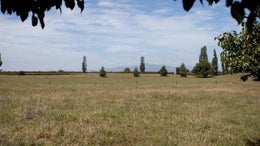 87231_1.jpg