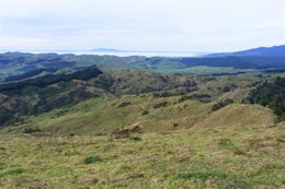 87675_1.jpg