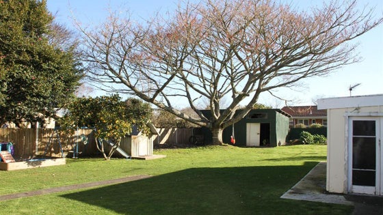 88009_3.jpg