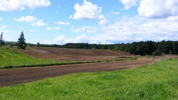 88324_1.jpg