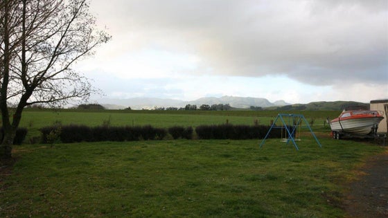 89241_3.jpg