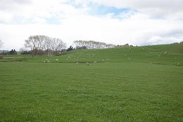 89264_1.jpg