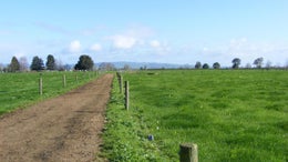 89379_1.jpg
