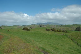 89390_1.jpg