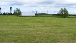 89582_1.jpg