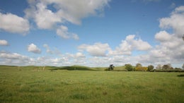 89683_1.jpg