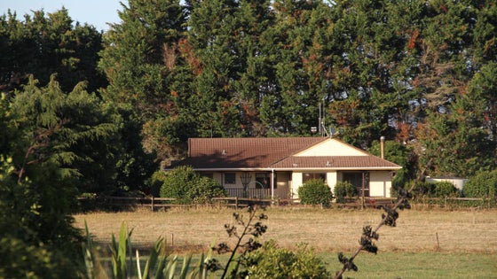89947_2.jpg