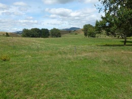 89958_1.jpg